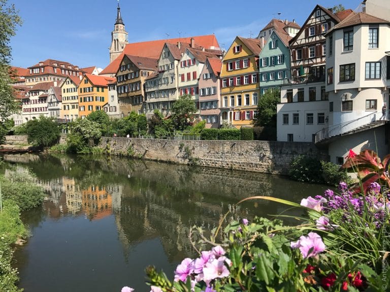 12 Sonnige Ausflugsziele bei Stuttgart im Frühling