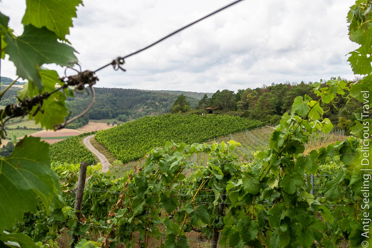Malerisches Hammelburg, die älteste Weinstadt Frankens » Delicious Travel