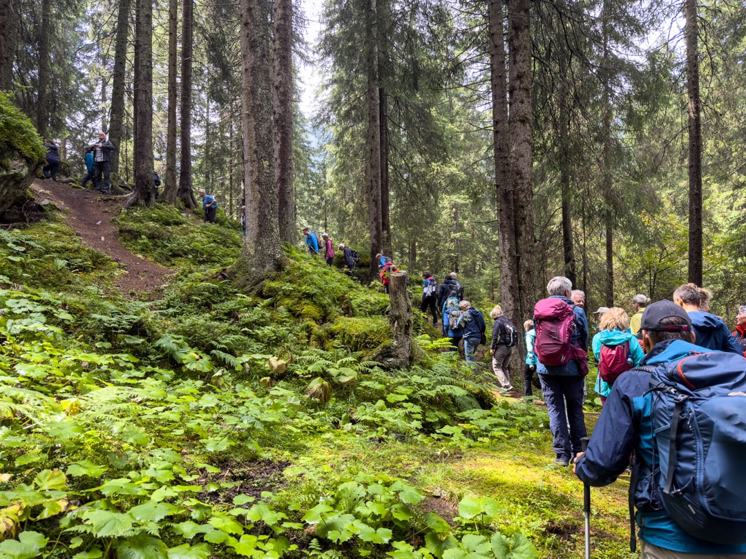 Montafoner Theaterwanderung in Gargellen