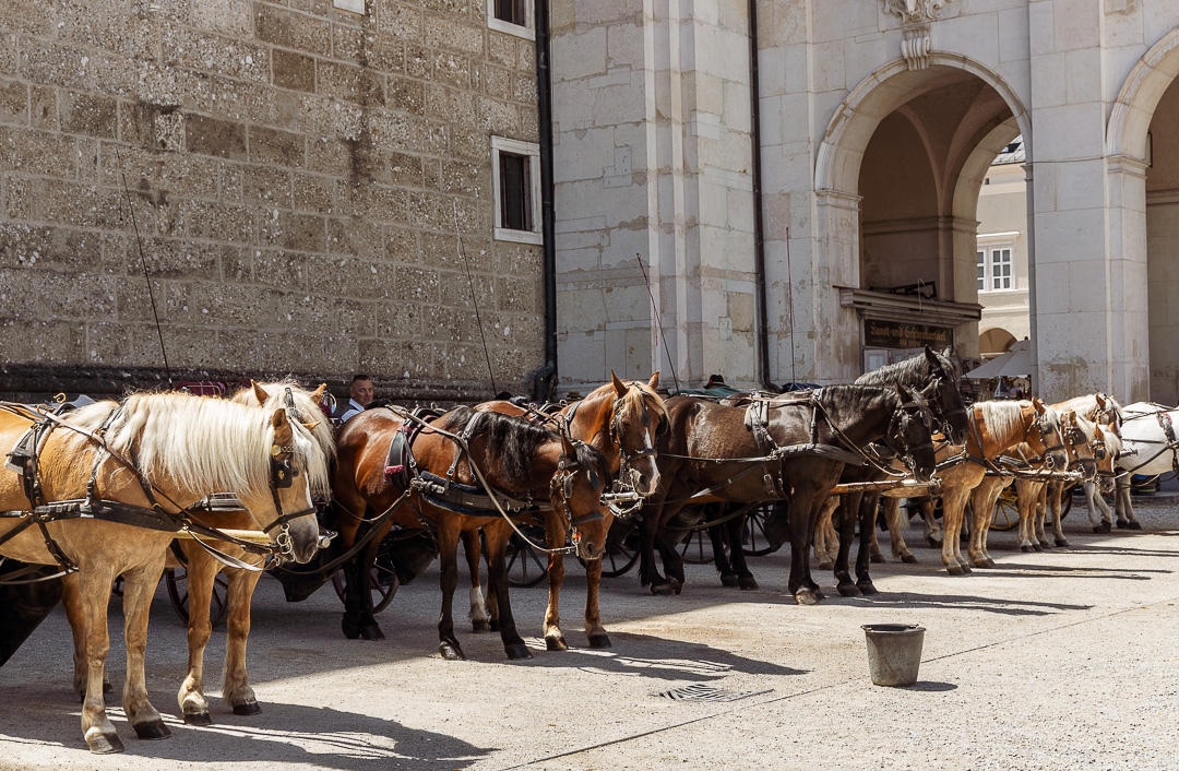 Warten auf den nächsten Einsatz: Fiaker auf dem Salzburger Residenzplatz