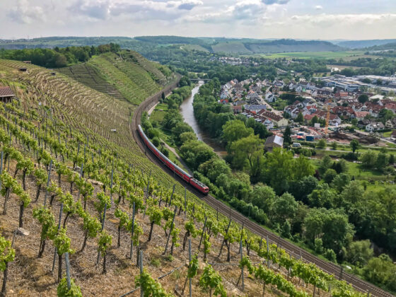 Postkartenidylle: Steillagenweinberg in Besigheim