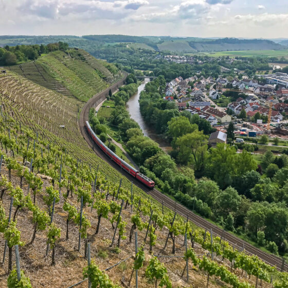 Postkartenidylle: Steillagenweinberg in Besigheim